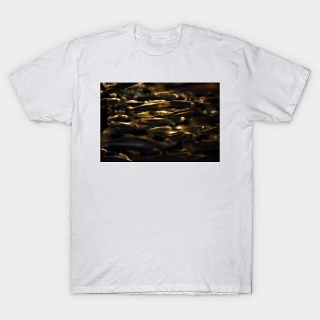 An Army Of Herring T-Shirt by arc1